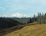 Coldwell Banker Residential - Developer Services Division Colorado