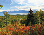 Coldwell Banker Residential - Developer Services Division Colorado